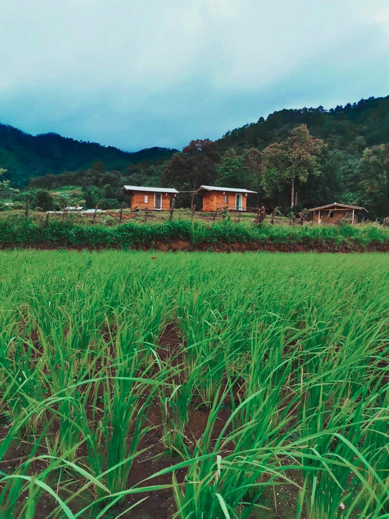 Klang Khao & Camp Campingplatz Ban Yang Khun Wang
